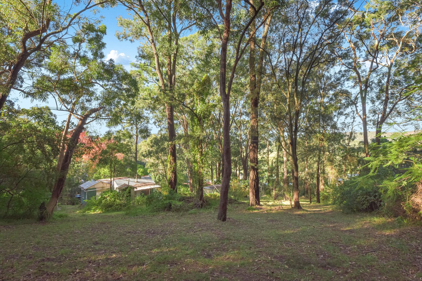 13 Lavender Cres, Spencer NSW 2775, Image 1