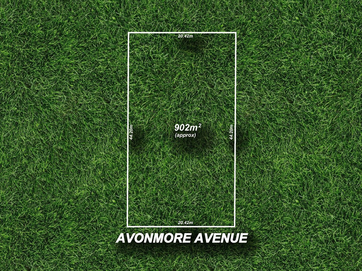 43 Avonmore Avenue, Trinity Gardens SA 5068, Image 0