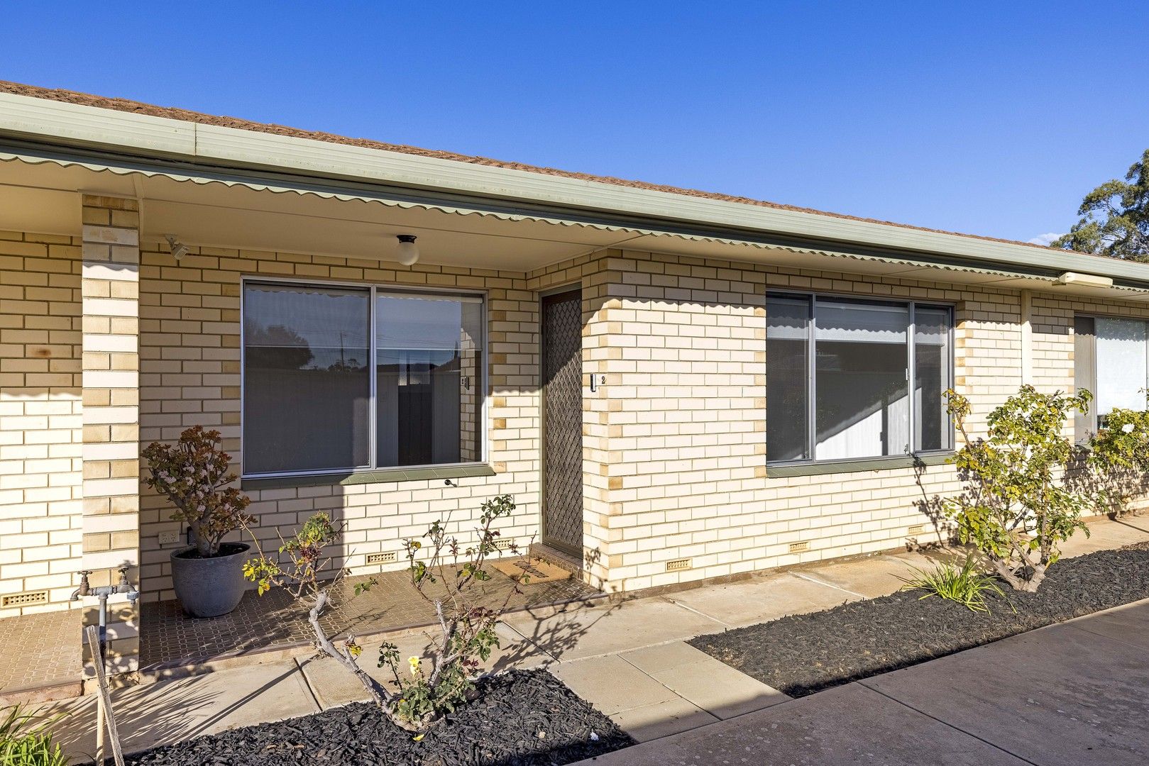 2 bedrooms Apartment / Unit / Flat in 2/97 McInerney Ave MITCHELL PARK SA, 5043