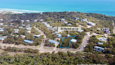 Picture of 43 Forest Drive, FAIRHAVEN VIC 3231