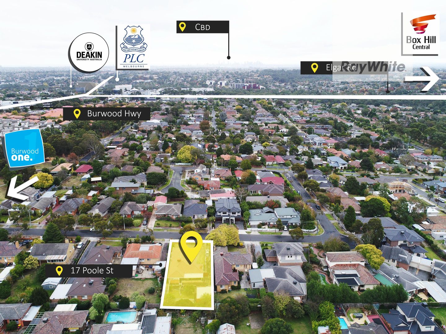 17 Poole Street, Burwood VIC 3125, Image 1