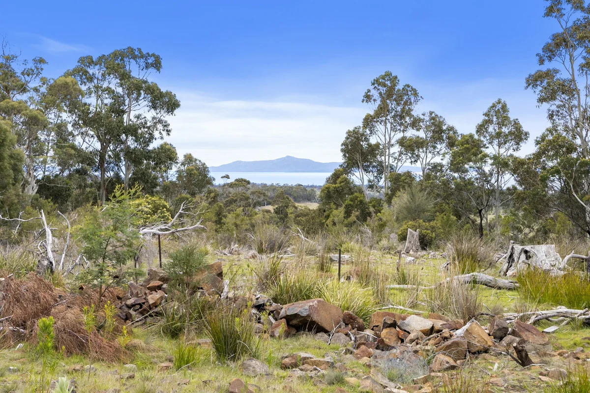 Additional image 7 of 4/194 Bresnehans Road, Little Swanport TAS 7190