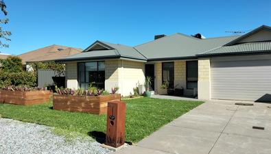 Picture of 26 Ghost Gum Boulevard, BANKSIA GROVE WA 6031