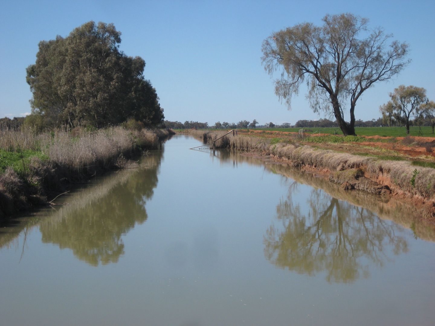 "Hayloch" andamp; "Katika", Carrathool NSW 2711, Image 2