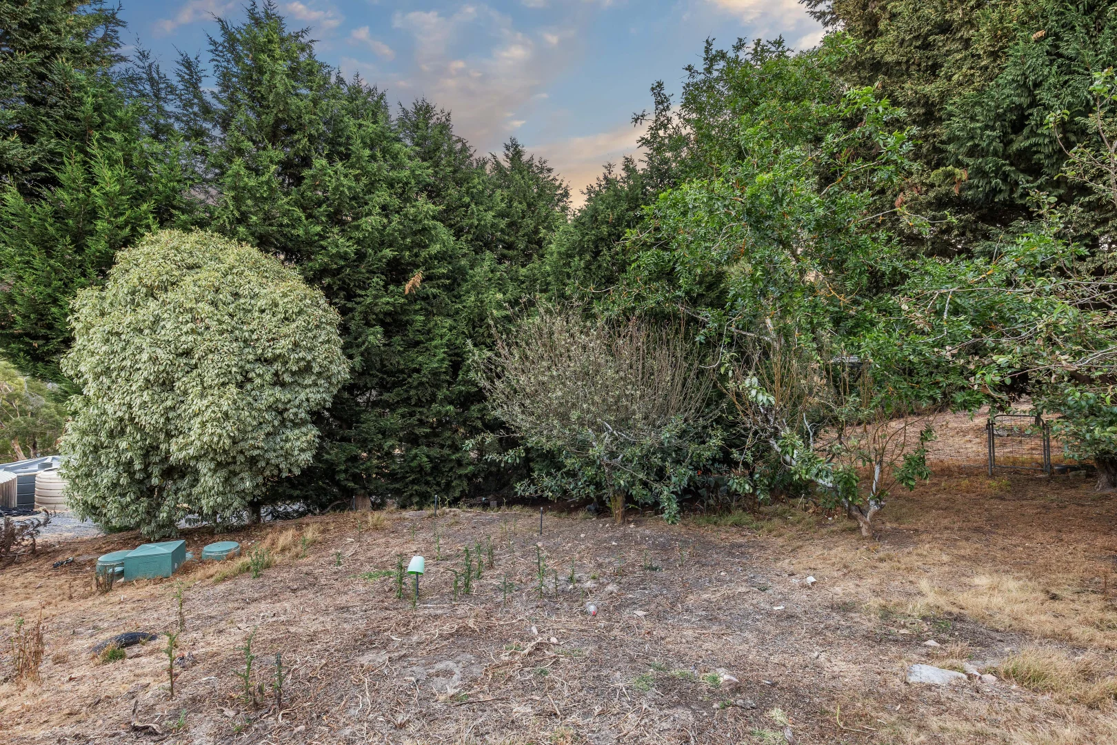 Image 25