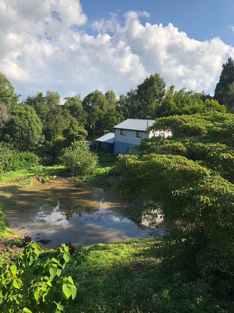 Witta QLD 4552 5 beds house for Sale, Priced at 650,000