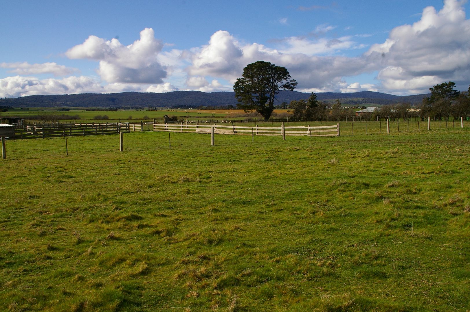 Lot 2 Bedford Street, Campbell Town TAS 7210, Image 2