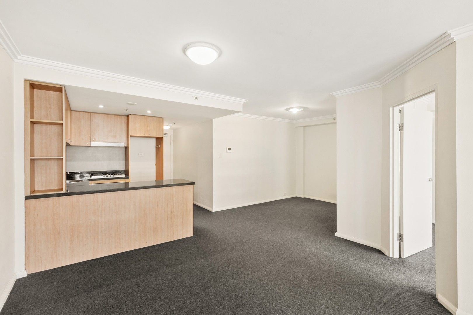 1 bedrooms Apartment / Unit / Flat in 1003/1 Sergeants Lane ST LEONARDS NSW, 2065