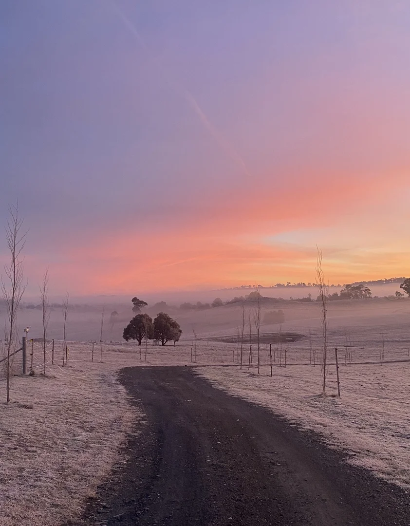 Additional image 55 of 1873 Peelwood Road, Laggan NSW 2583