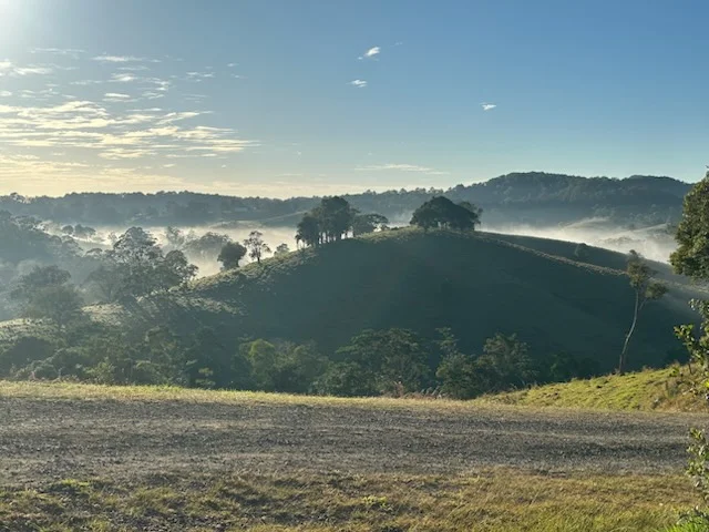 Additional image 22 of 38 Butcherbird Lane, Ridgewood QLD 4563