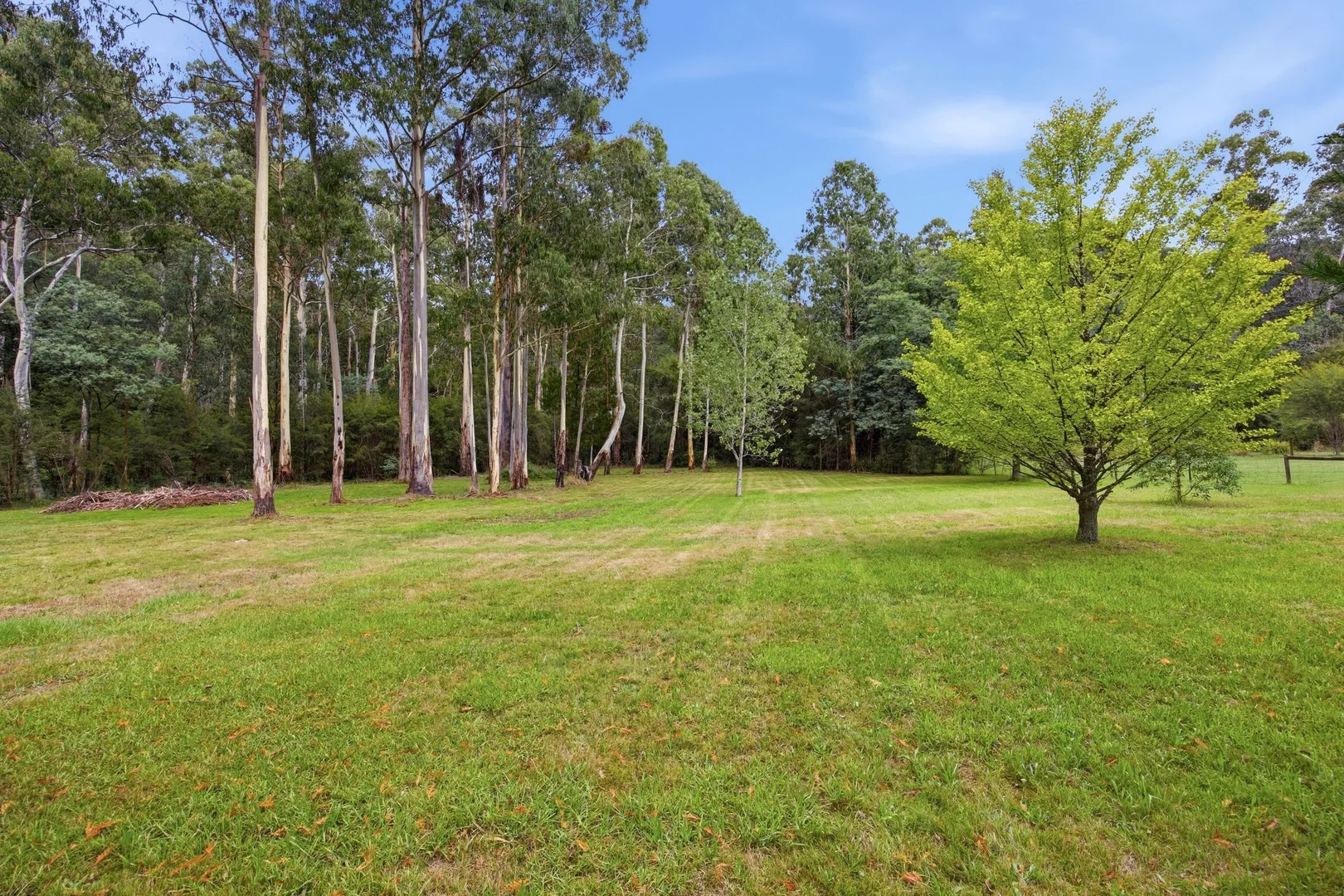 Additional image 26 of 2055 Woods Point Road, Reefton VIC 3799