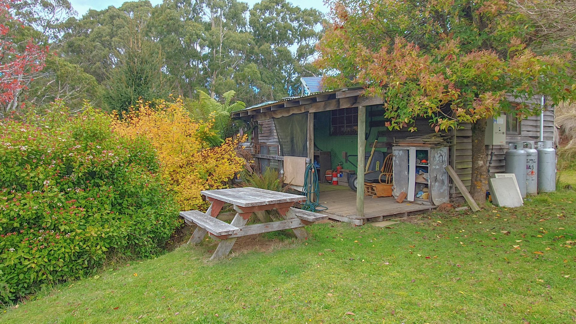 21 Walhalla Road, Aberfeldy VIC 3825, Image 2