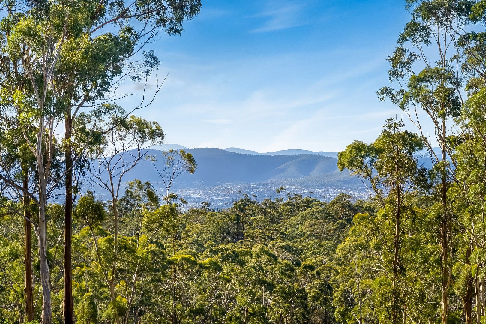 Lot 19/607627 Nelson Road, Mount Nelson TAS 7007 Domain
