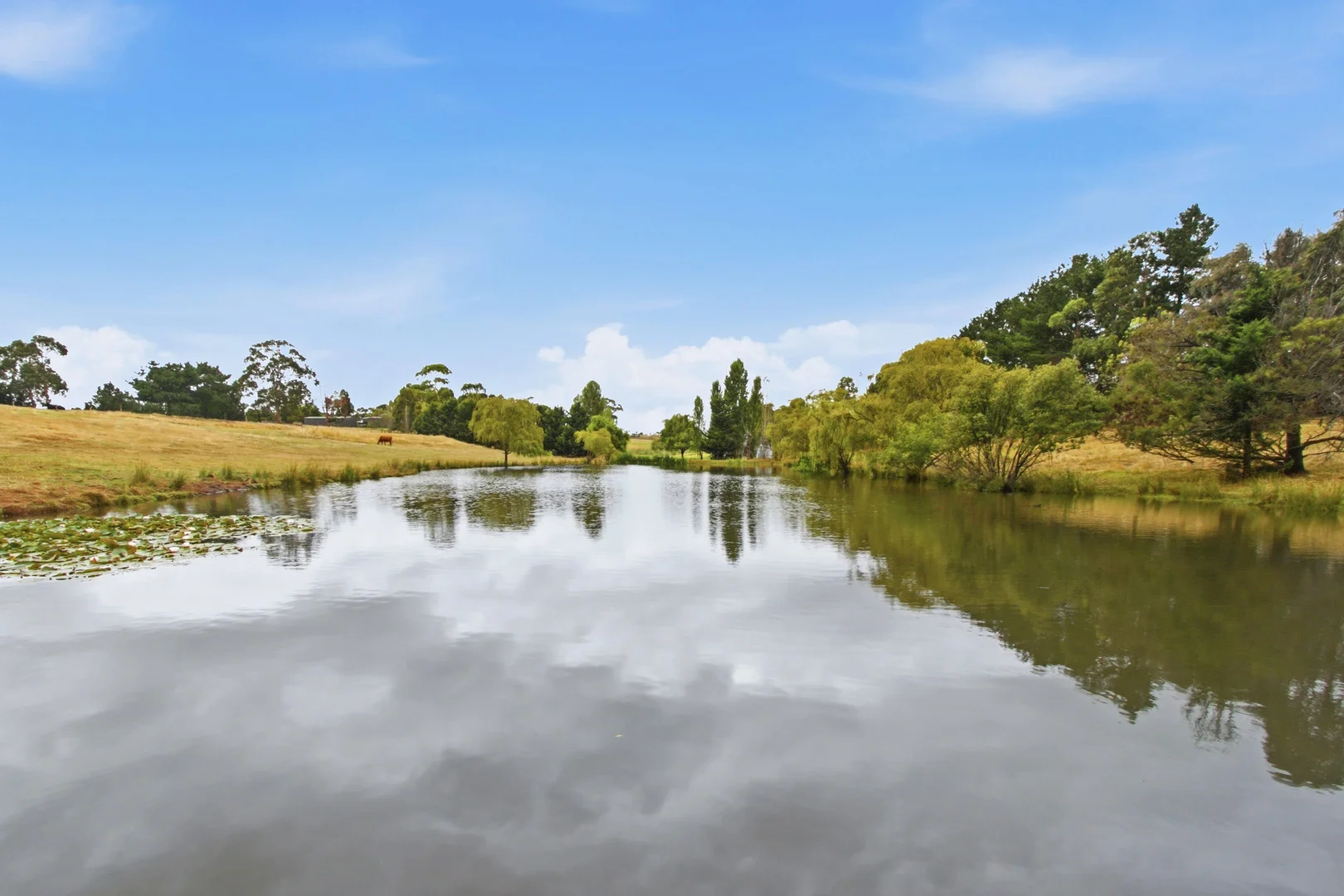 Additional image 21 of 65 Freemans Road, Traralgon VIC 3844