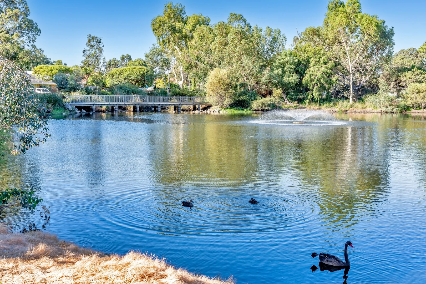 Additional image 30 of 4A Love Street, Myaree WA 6154