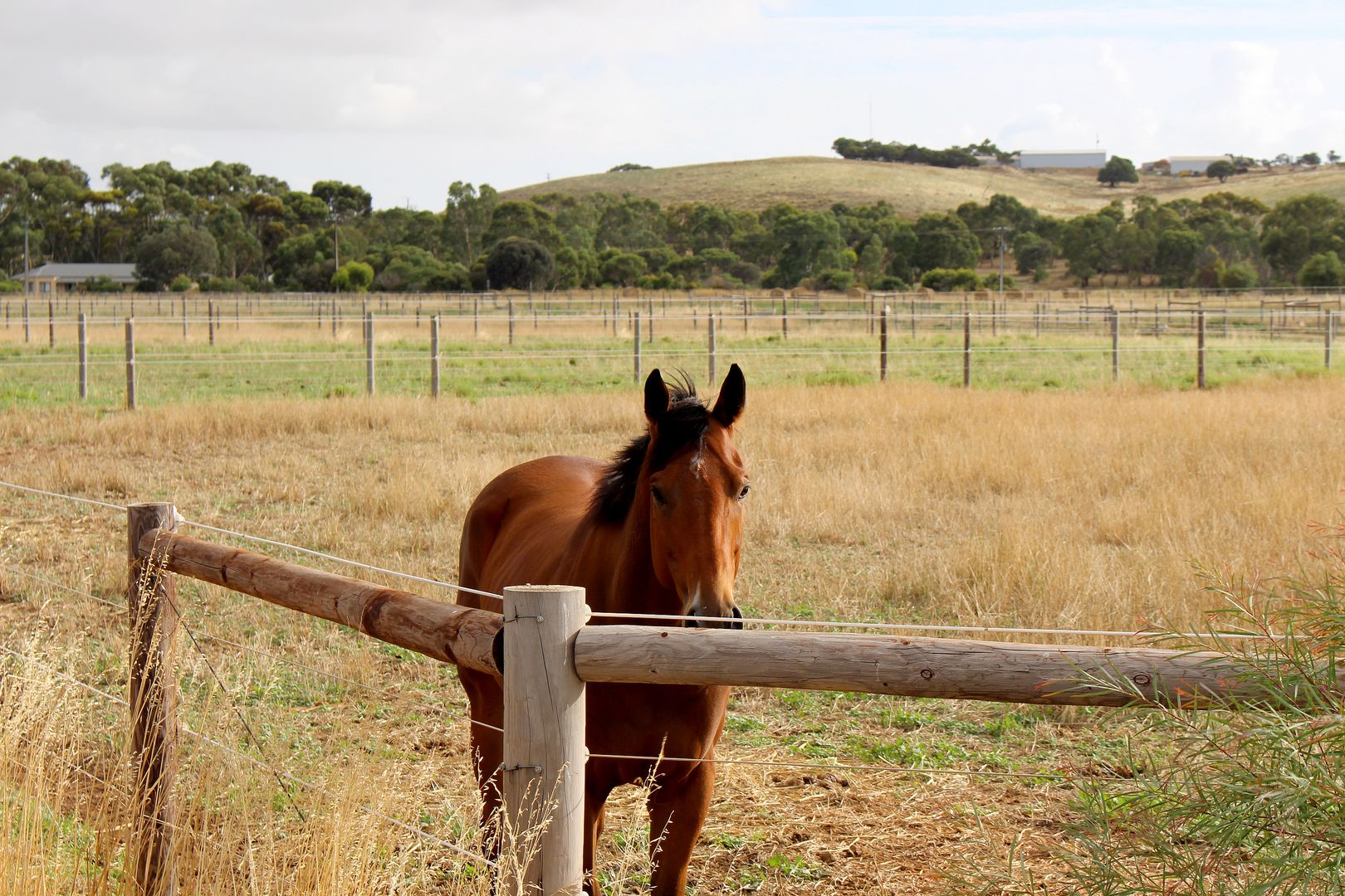 A10 Lines Road, Strathalbyn SA 5255, Image 2