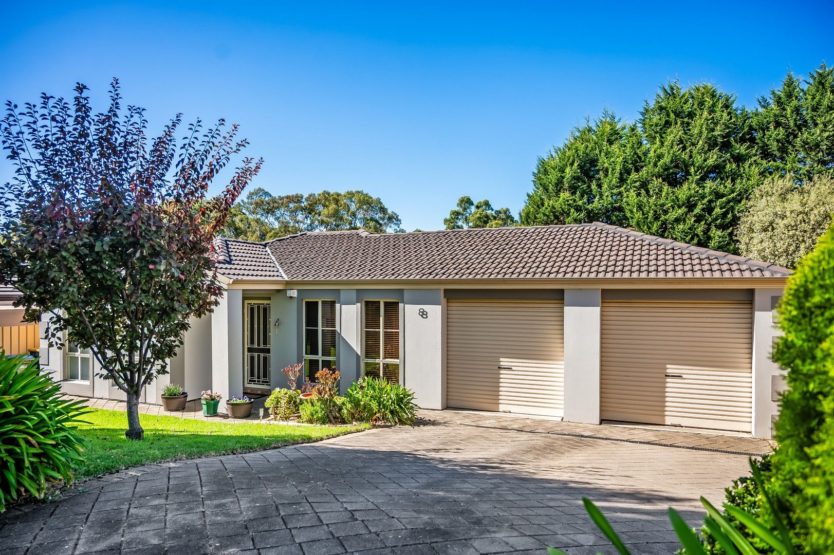 8 Penny Street, Mount Barker SA 5251, Image 0