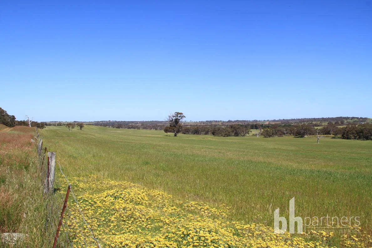 Additional image 7 of Section 332 and Section 330 & 405 Kubenk Road, Rockleigh SA 5254