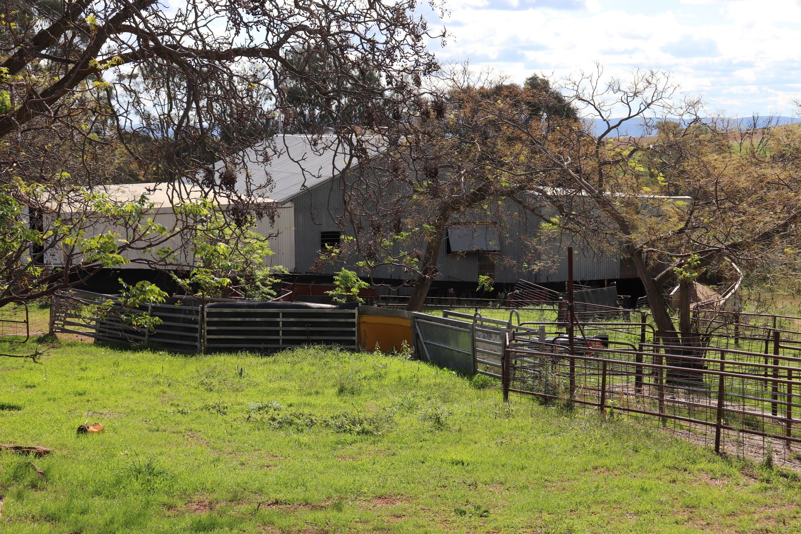 5192/Canowindra Road, Cudal NSW 2864 Specialist Farm for Sale