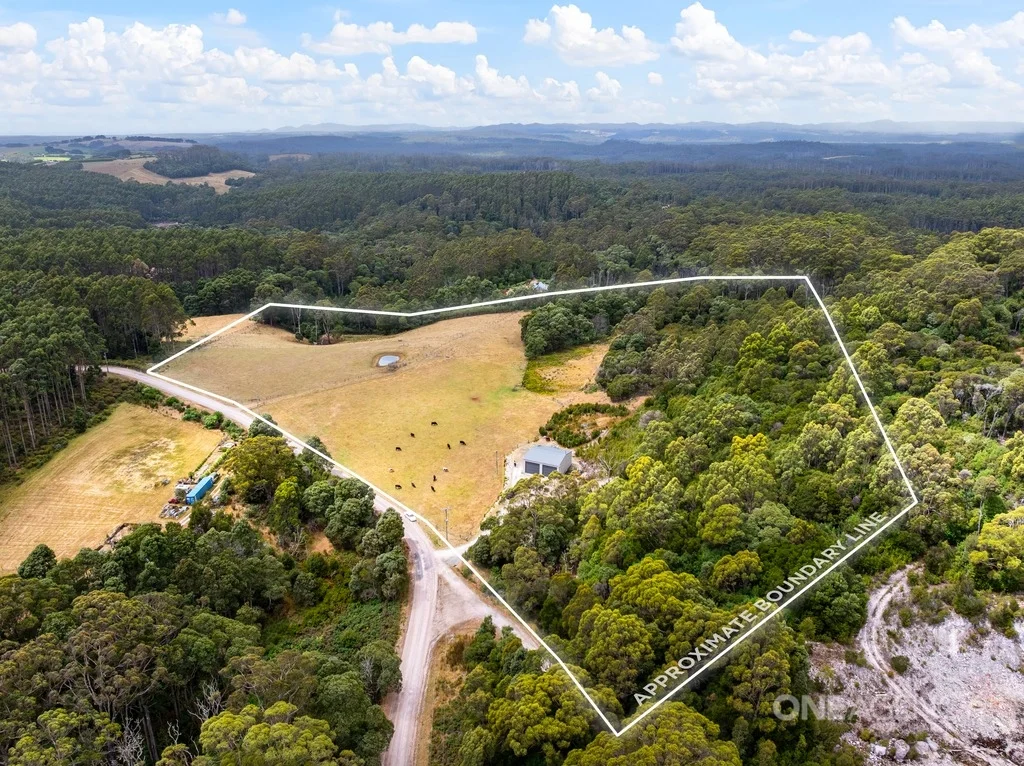 343 Tierneys Road, Mengha TAS 7330