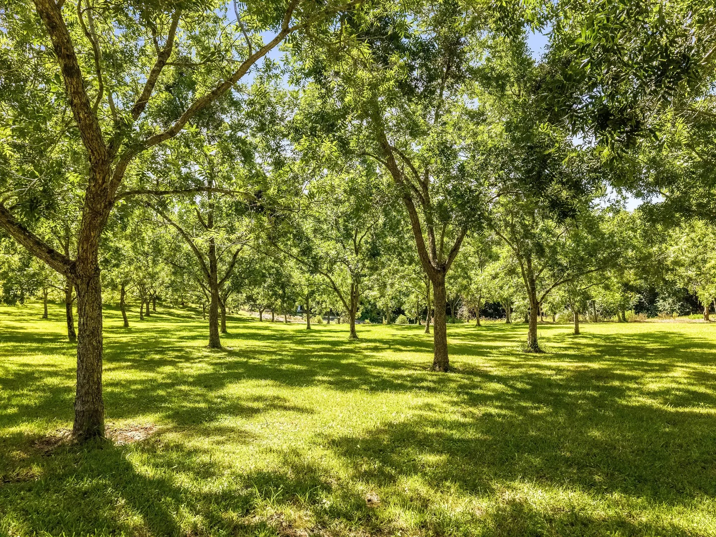 Additional image 25 of 151 Byrnes Lane, Tuckombil NSW 2477