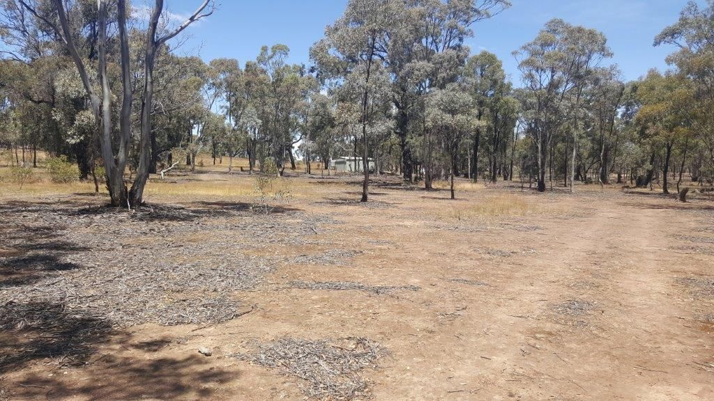 Lot 1 Nixons Road, Shelbourne VIC 3515, Image 2