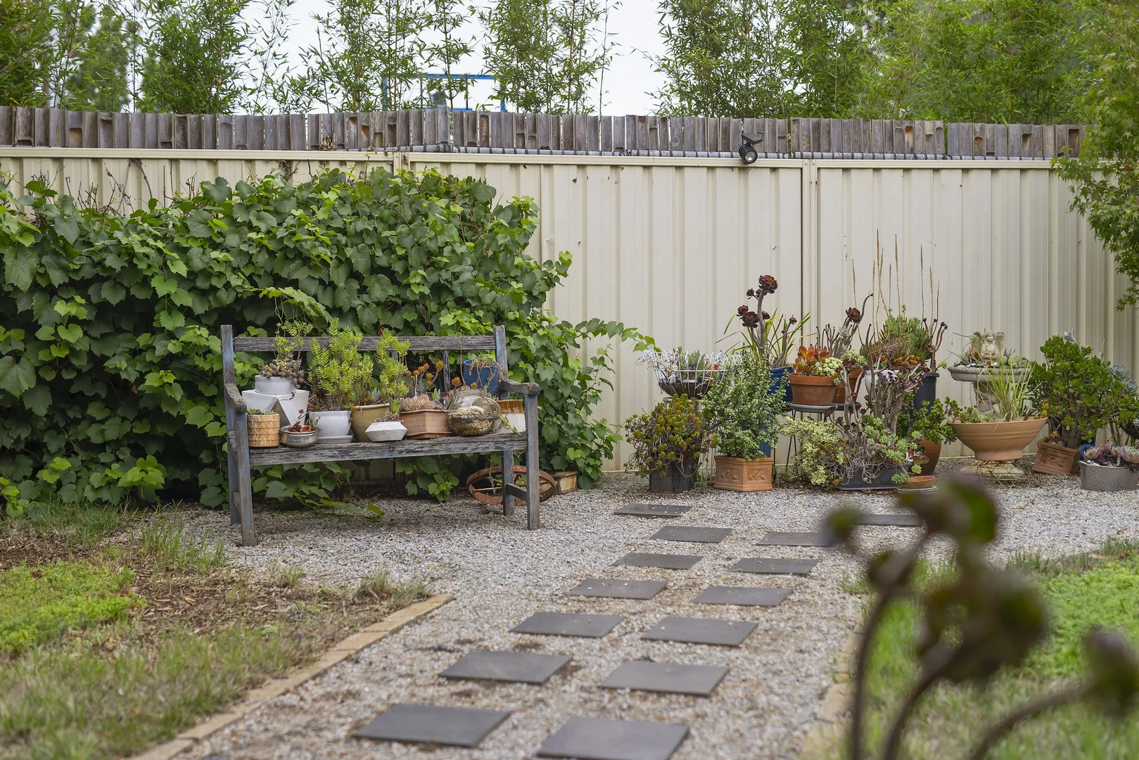Image 14