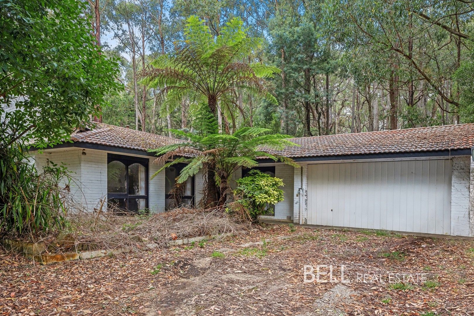 265 Gembrook Road, Gembrook VIC 3783, Image 0