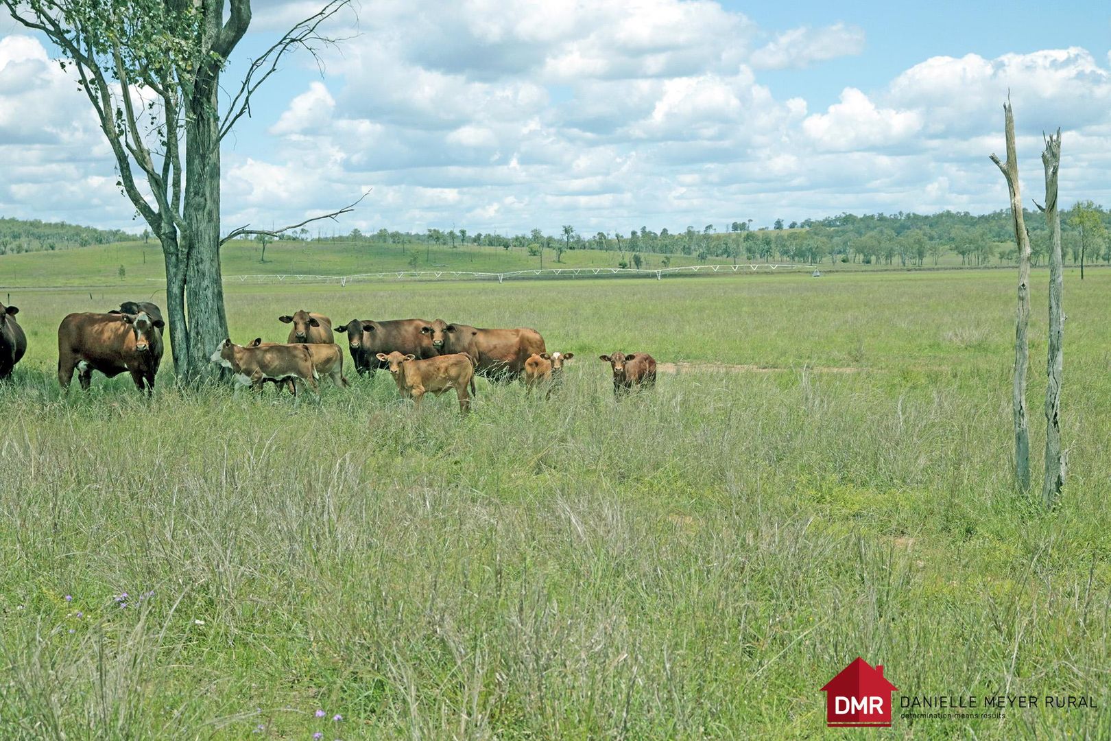 Eidsvold East QLD 4627, Image 1