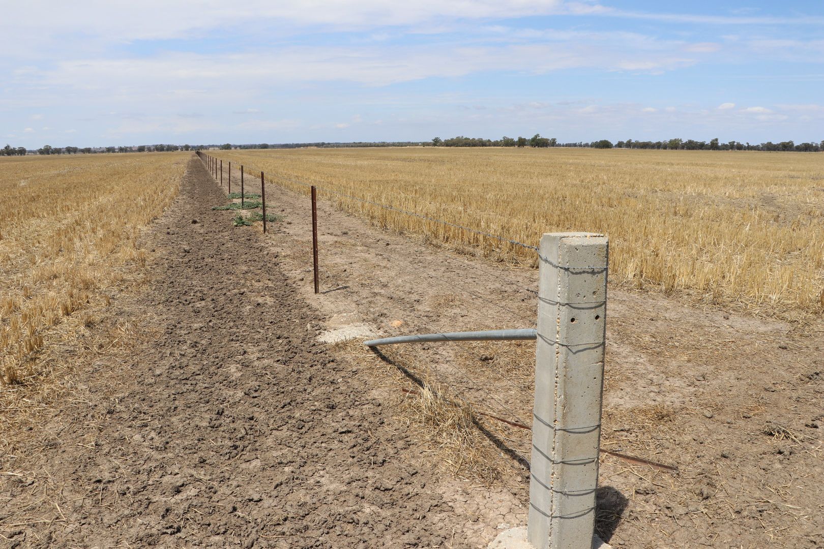 'Benburb' Wide Lane, Osborne NSW 2656, Image 1