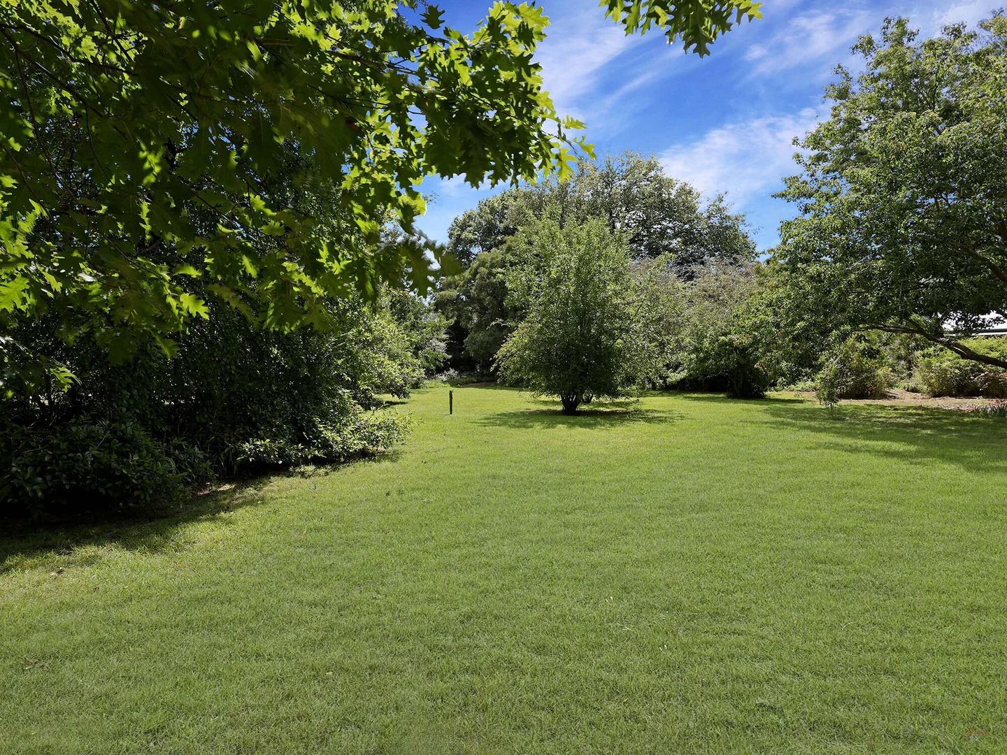 Image 22