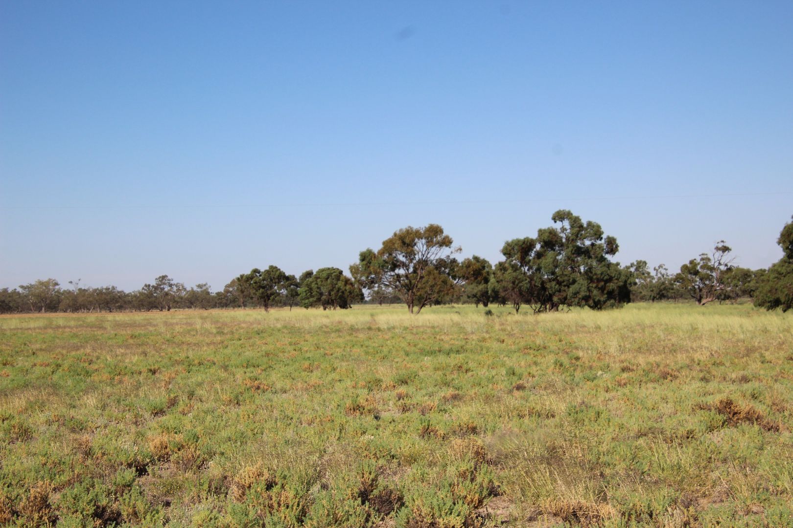 Boolkamena Station, Menindee NSW 2879, Image 1