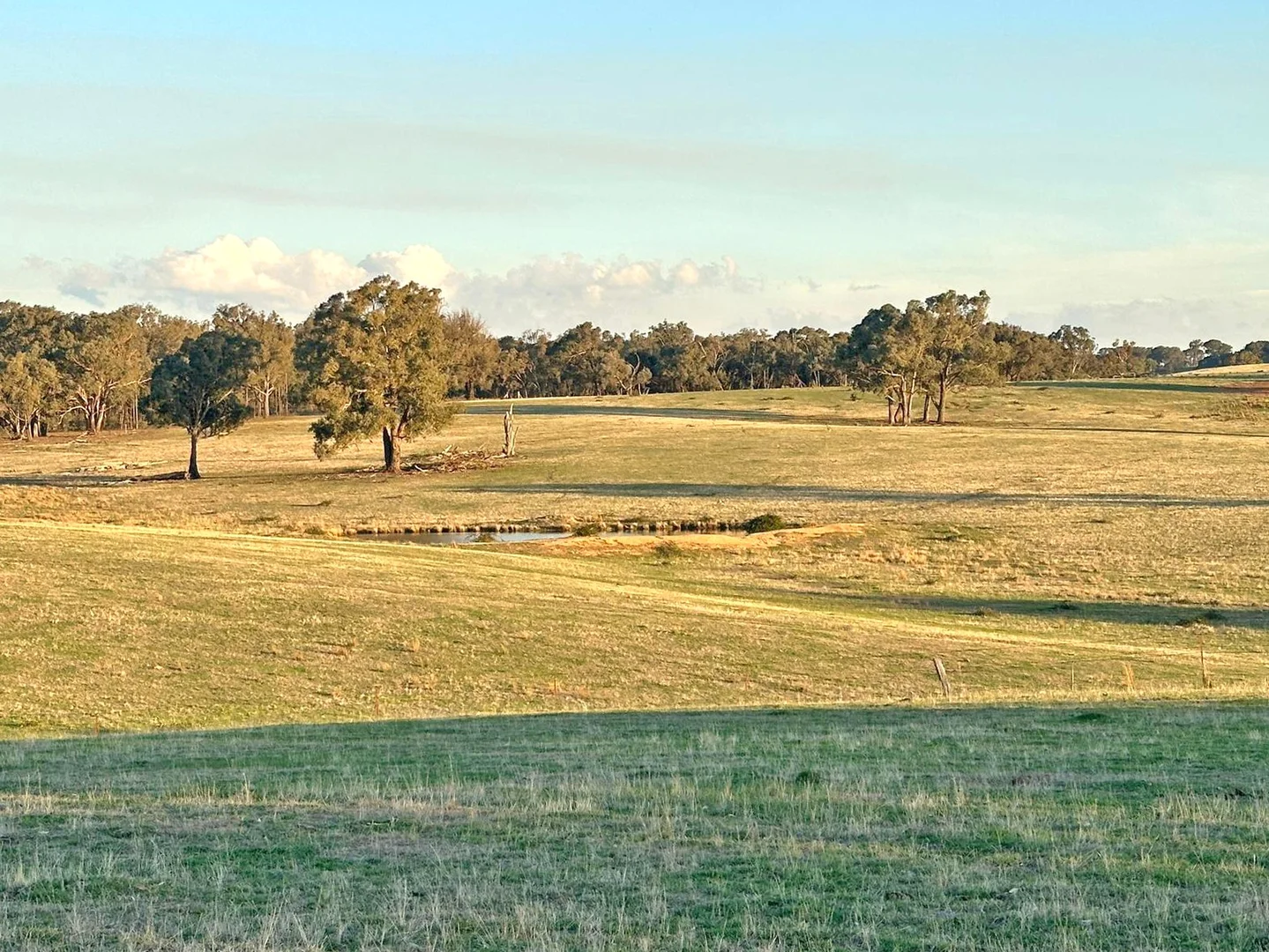 Additional image 11 of 1277 Cheviot Hills Road, Wagga Wagga NSW 2650