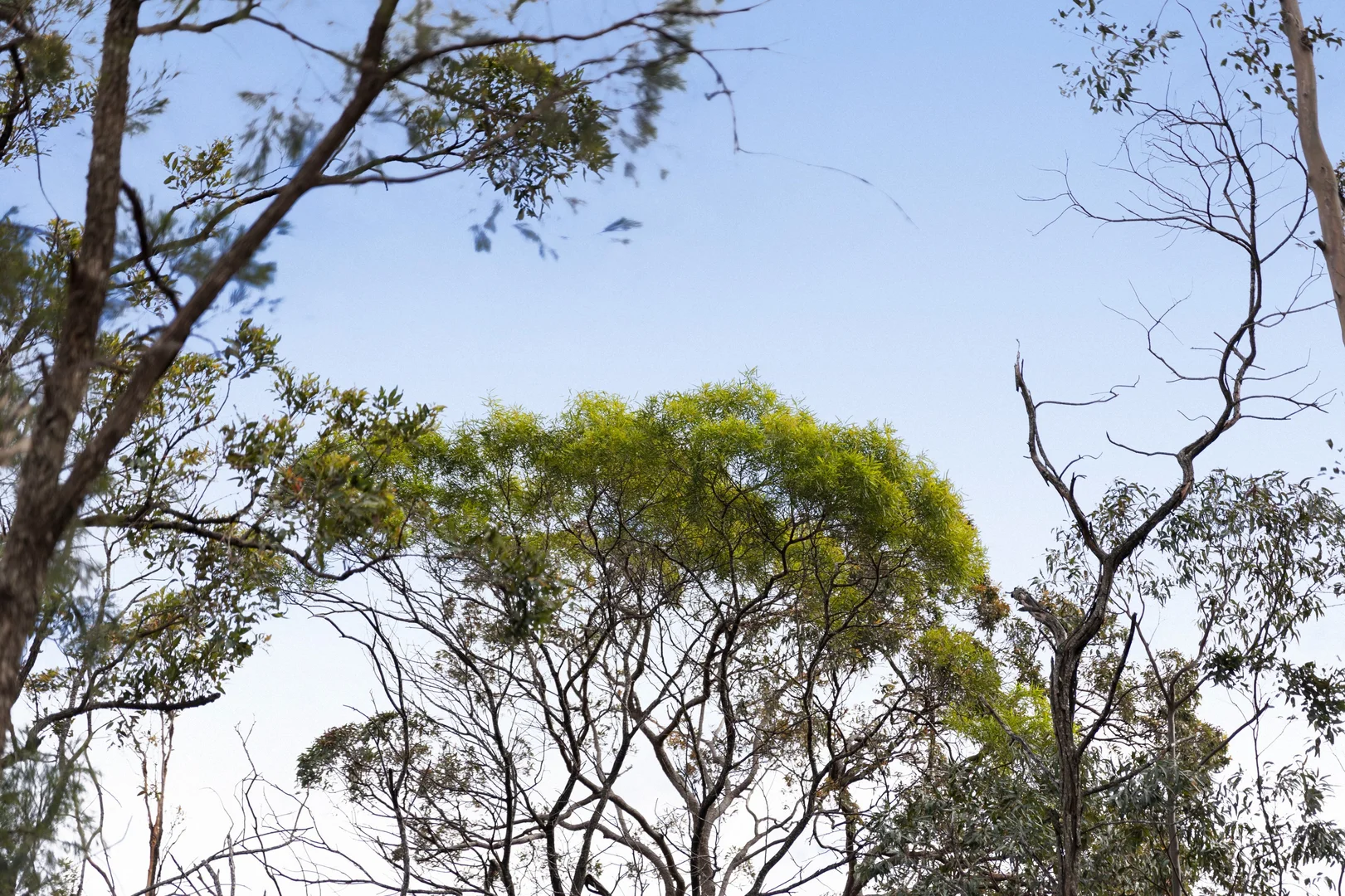 Image 15