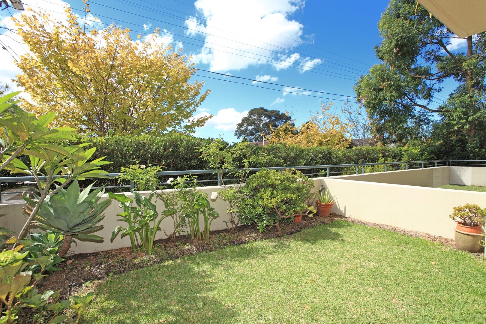 6/290 Penshurst Street, Willoughby NSW 2068, Image 2