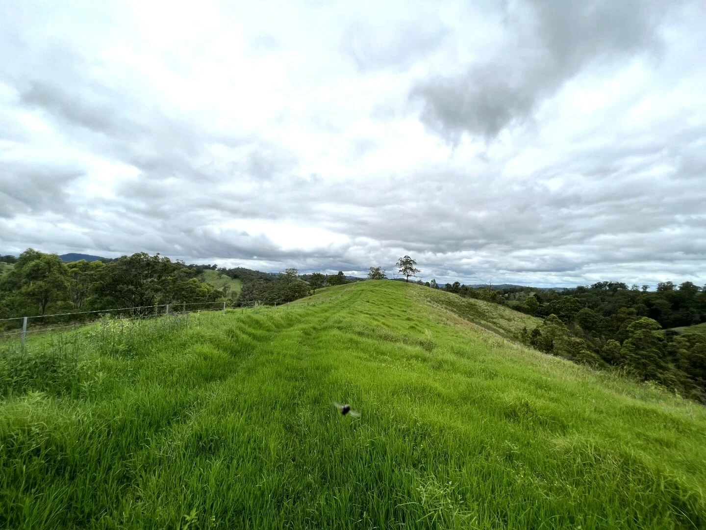 Image 29