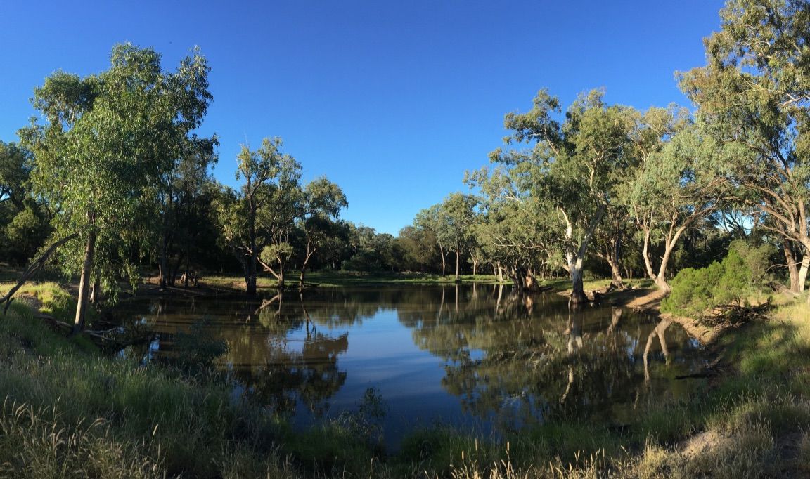 Moonie QLD 4406 Livestock Property for Sale Domain