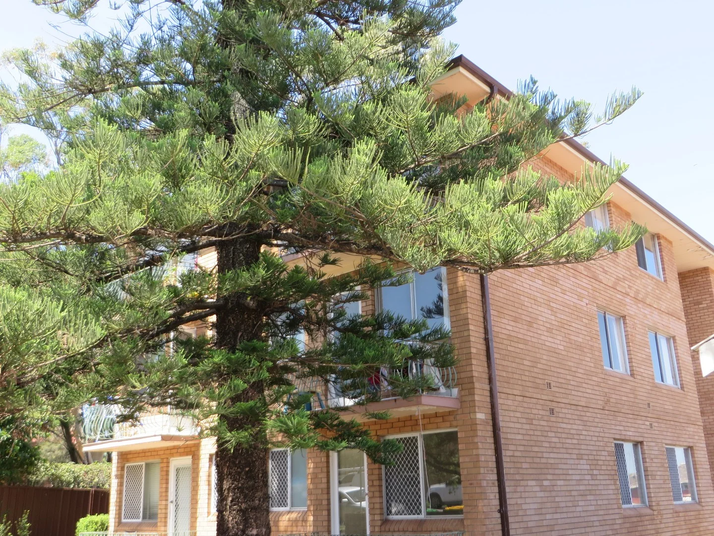 2/60 Wangee Road, Lakemba NSW 2195