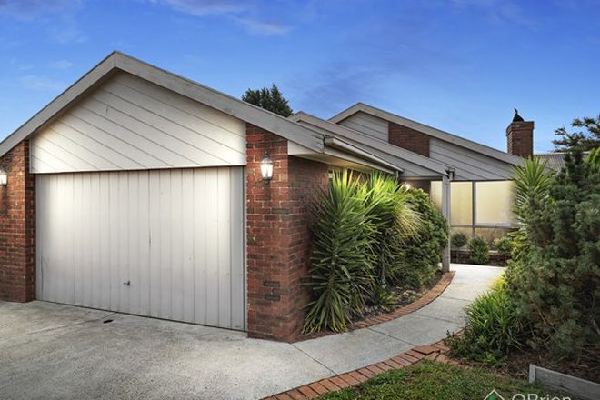 Picture of 7 Markhill Place, KNOXFIELD VIC 3180