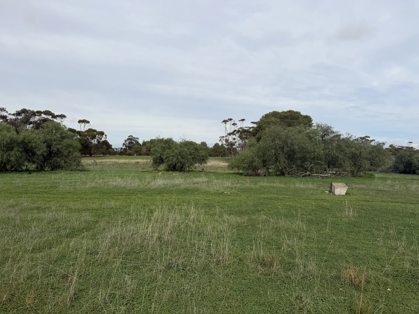 Image 9
