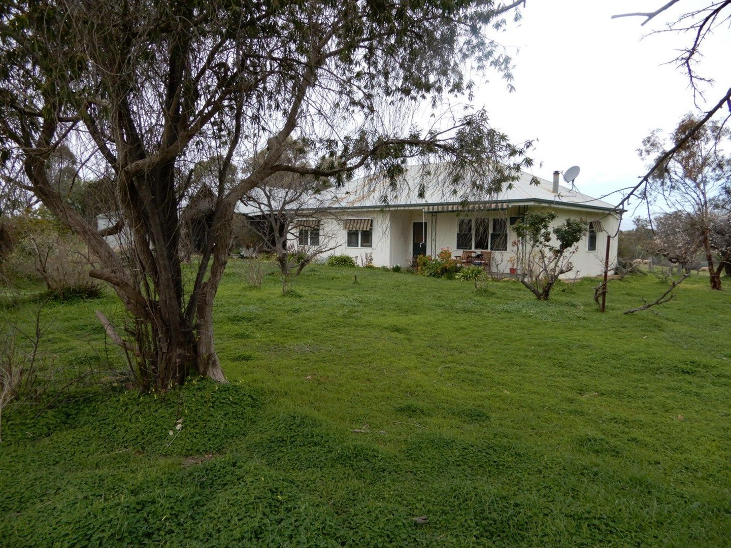 75 Block/9 Rd, Wirrabara SA 5481, Image 0