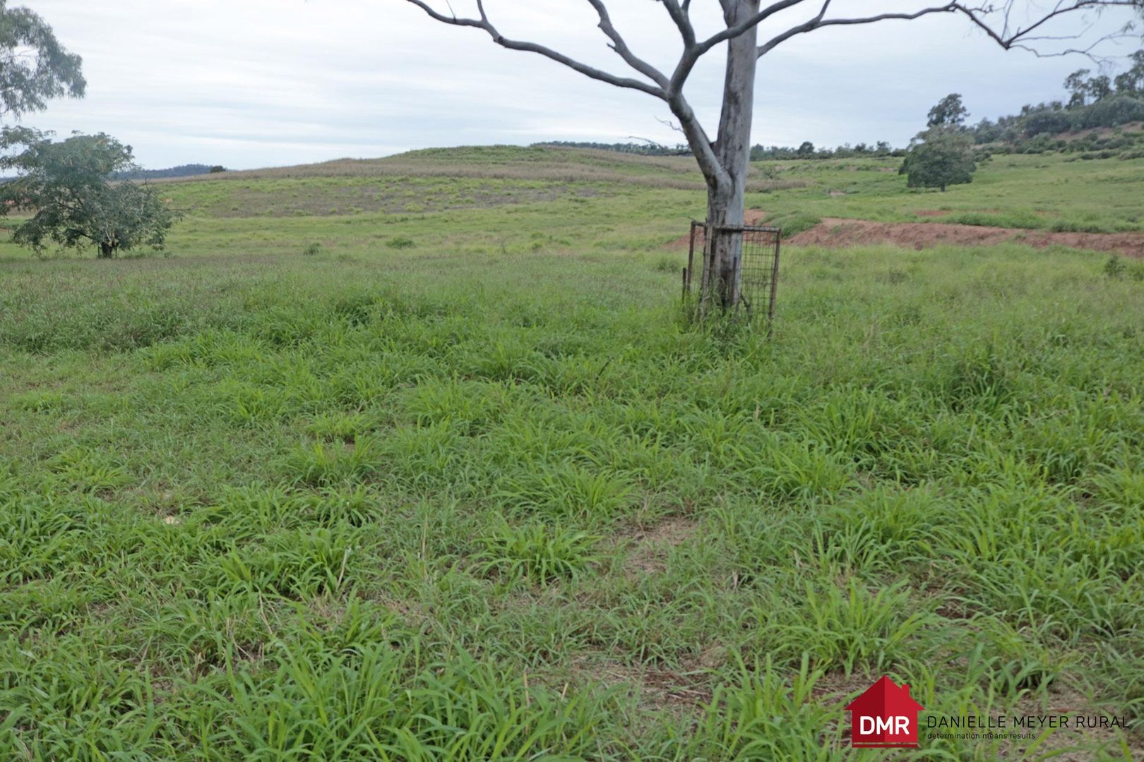 0 Top Gurgeena Road, Binjour QLD 4625 House for Sale Domain