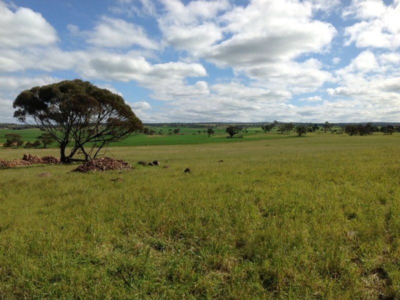 Lot 125 Law Road, Rockleigh SA 5254, Image 2