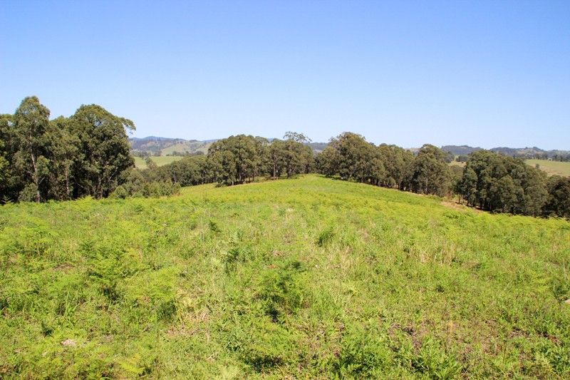 Lot 105 & 107 Nelsons Road, Dungog NSW 2420, Image 0