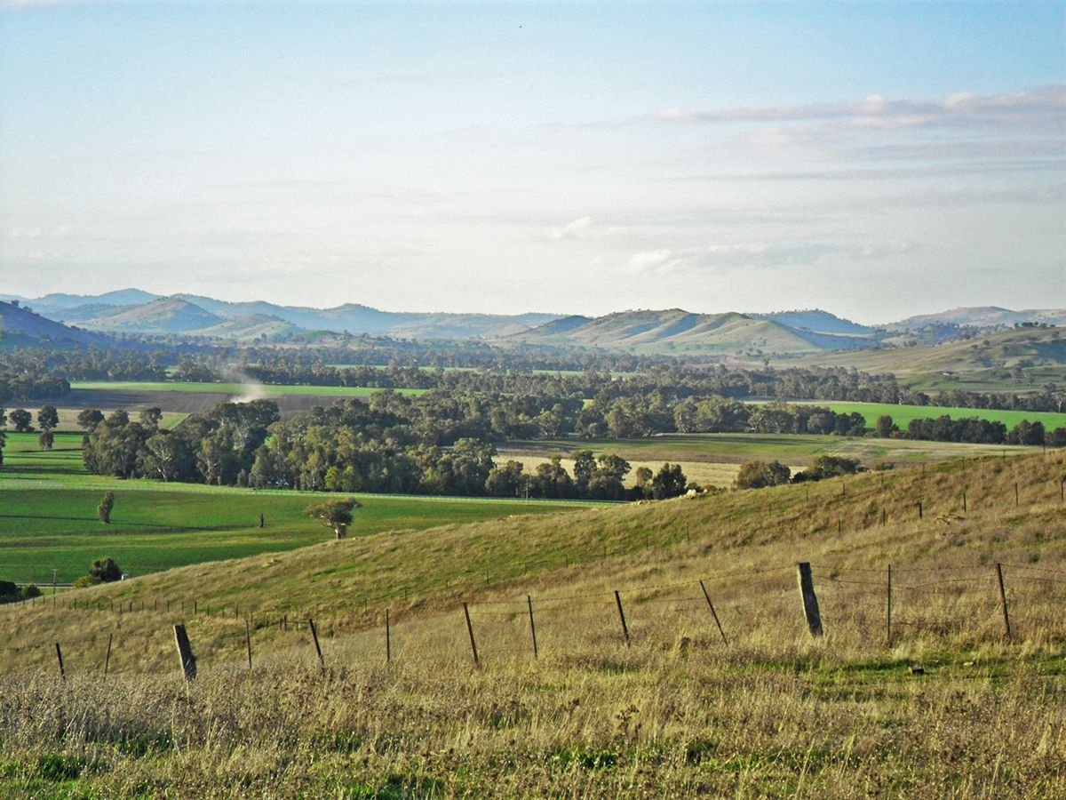 Lot 4 Springfield Land, Gundagai NSW 2722, Image 2