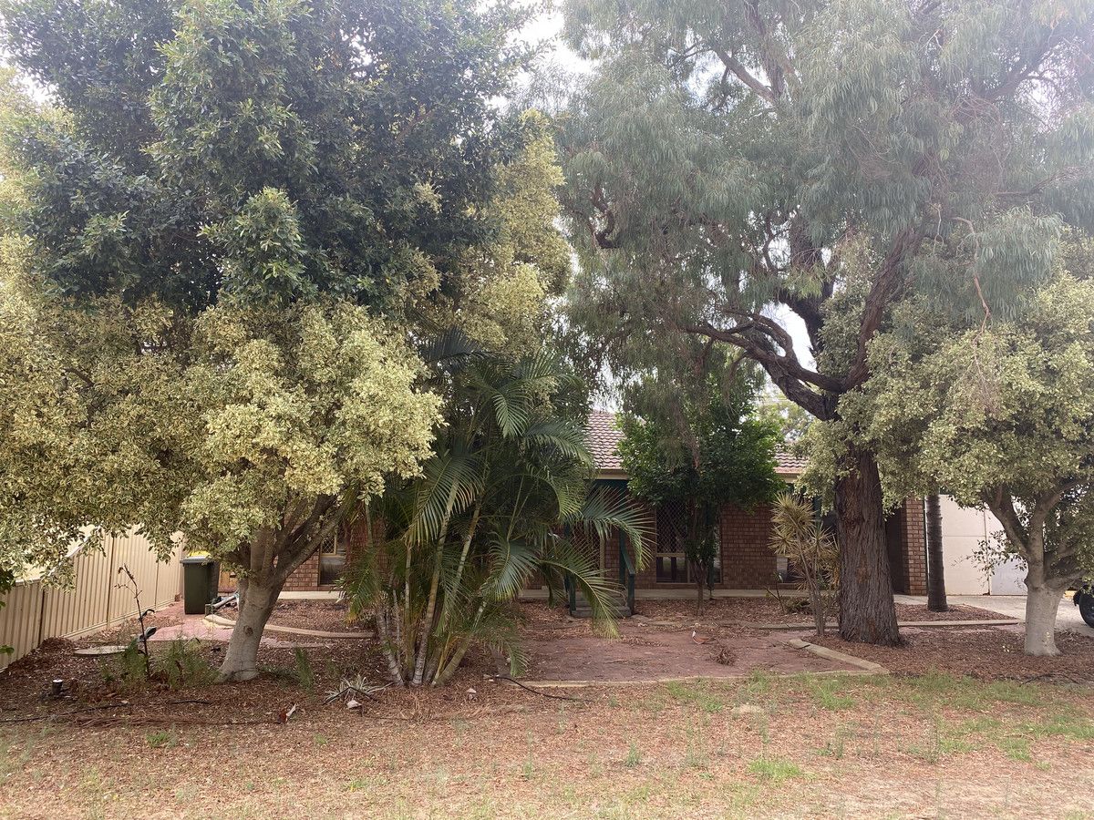 4 bedrooms House in 38 Derek Road COODANUP WA, 6210