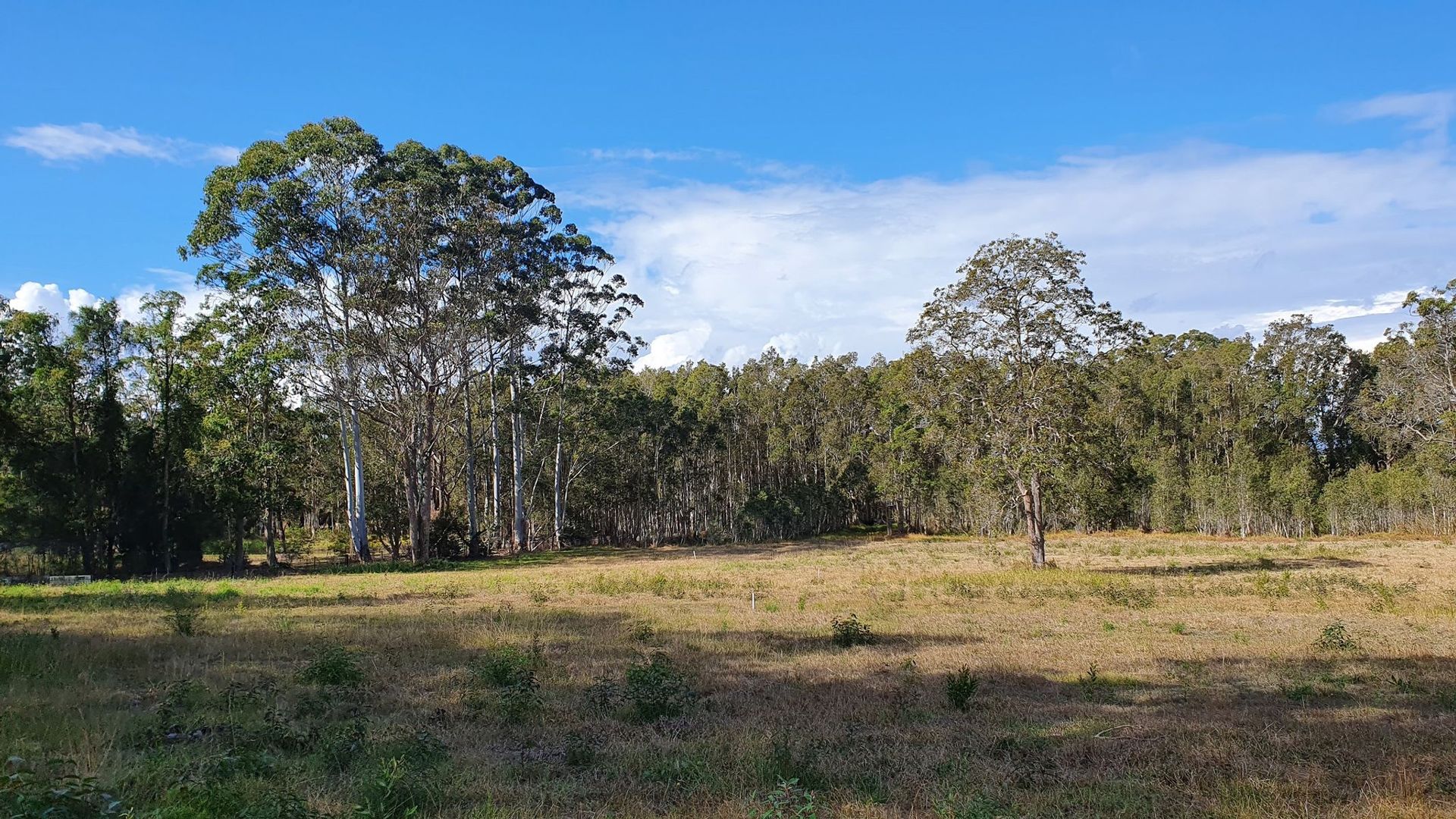 James Creek NSW 2463, Image 2