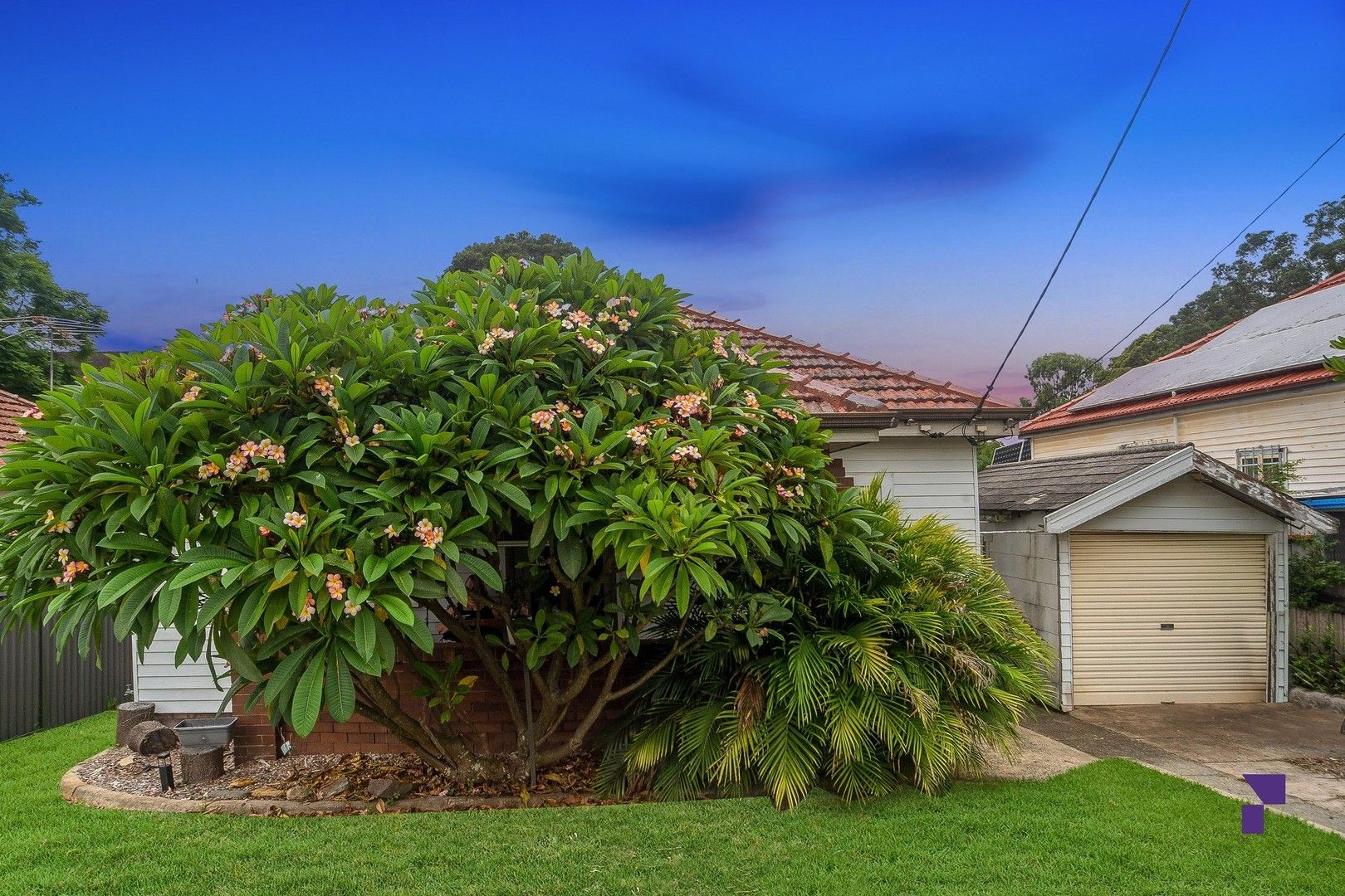 6 Lonard Avenue, Wiley Park NSW 2195, Image 0