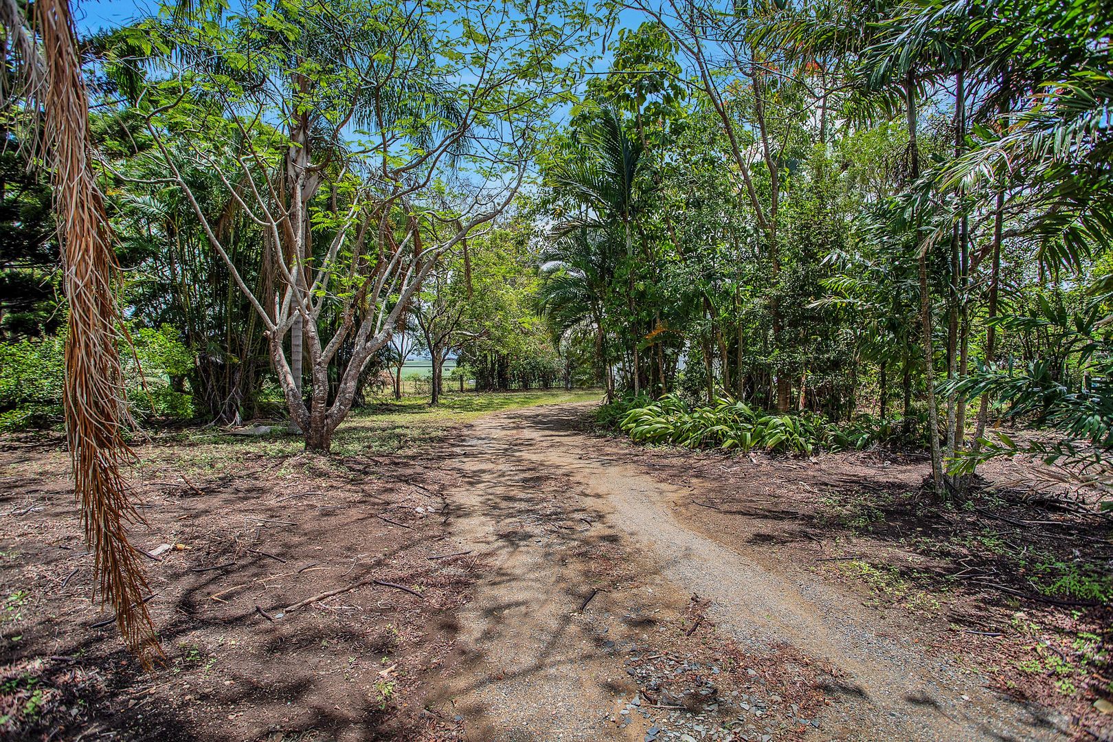 24771 Peak Downs Highway, Victoria Plains QLD 4751, Image 2