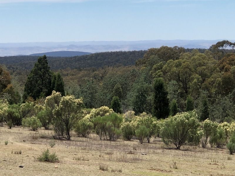 Lot 5 Warrumba Road, Bumbaldry NSW 2794, Image 0